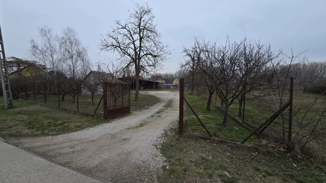 c3-1-name c2-50-name, Dunavecse, Bajcsy-Zsilinszky utca 39