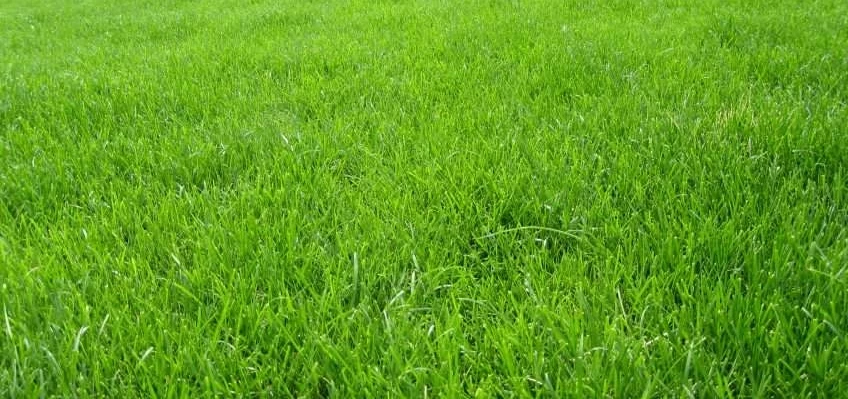 For sale periphery plot, Debrecen, Basahalomutca