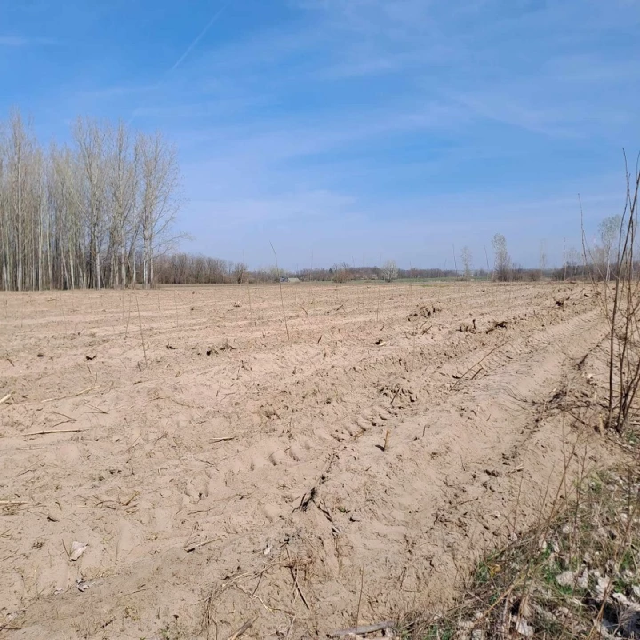 For sale plough-land, pasture, Vasad