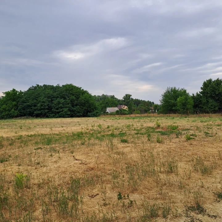 For sale building plot, Monorierdő