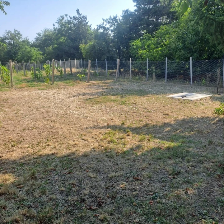 For sale periphery plot, Monor