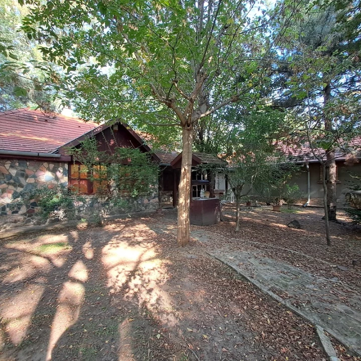 c3-1-name c2-55-name, Monorierdő