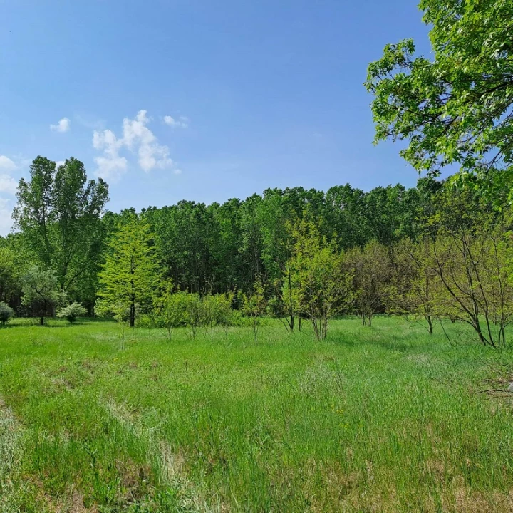 For sale periphery plot, Monor