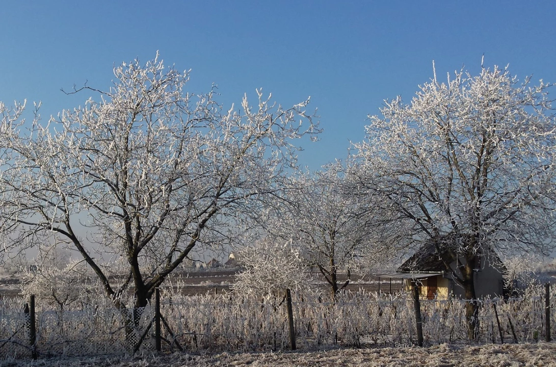 c3-1-name c2-58-name, Monor