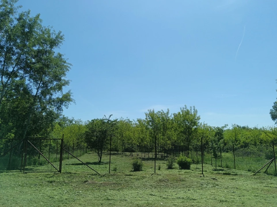 For sale building plot, Monorierdő