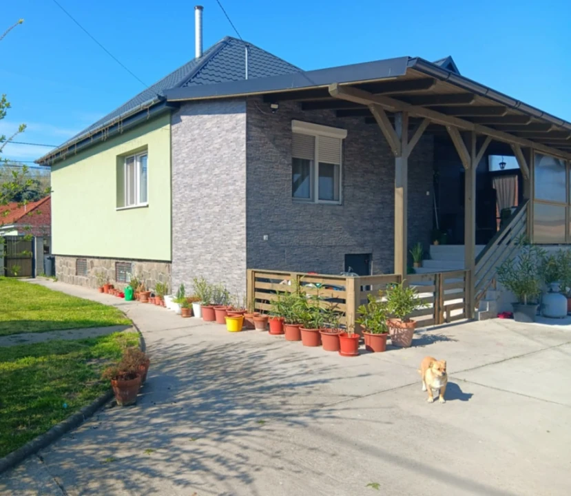 c3-1-name c2-1-name, Monor