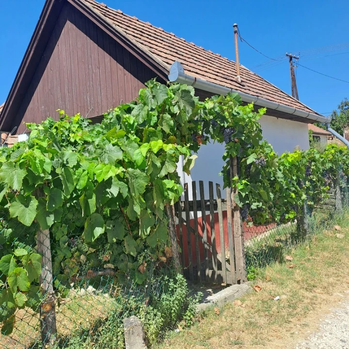 Eladó zártkert, Monor