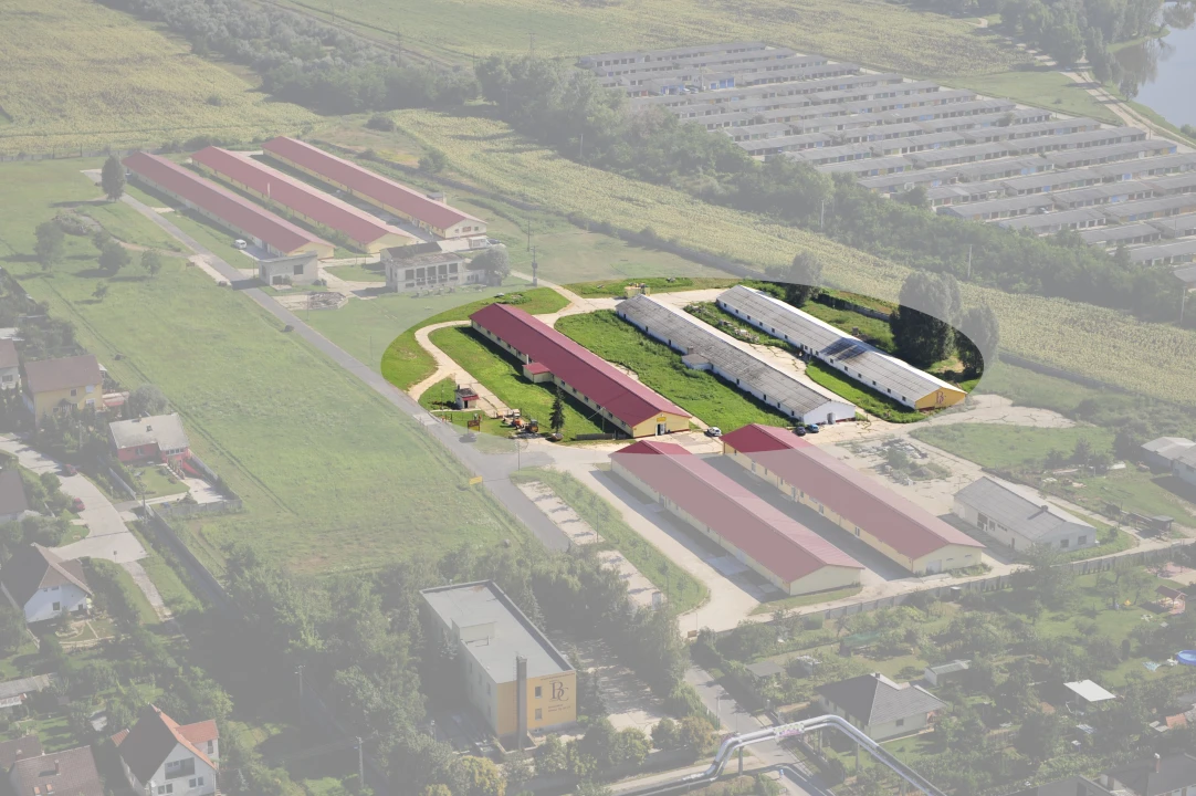 c3-1-name c2-115-name, Oroszlány, Dózsa György út 29.