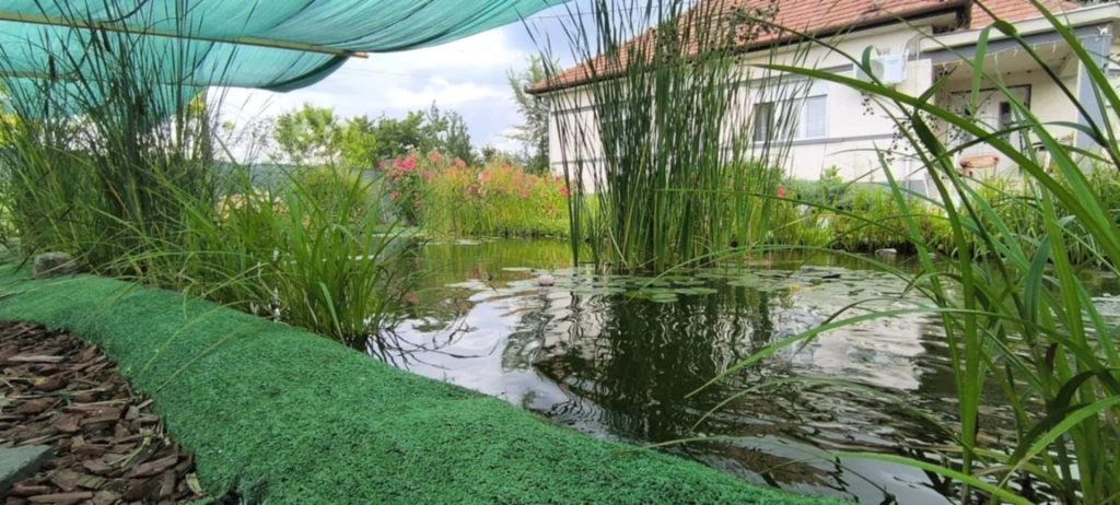 Táborfalván, tanya eladó a Kőrösi utcában, két külön nyíló lakó épülettel, gazdasági épülettel, összközművel, istállóval, kiváló infrastruktúrával.