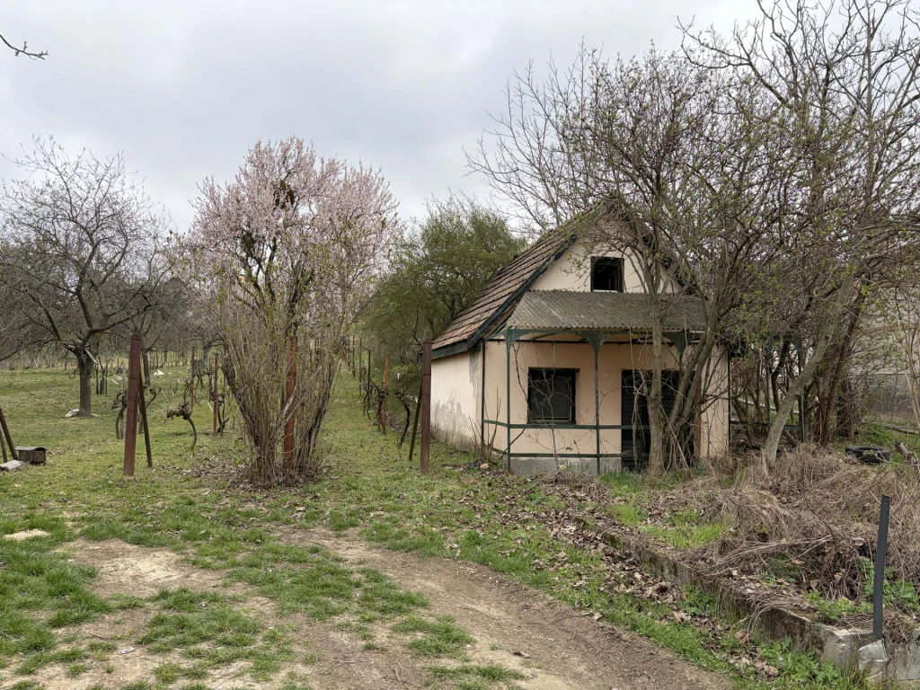 Vértesszőlősön, zártkerti ingatlan eladó