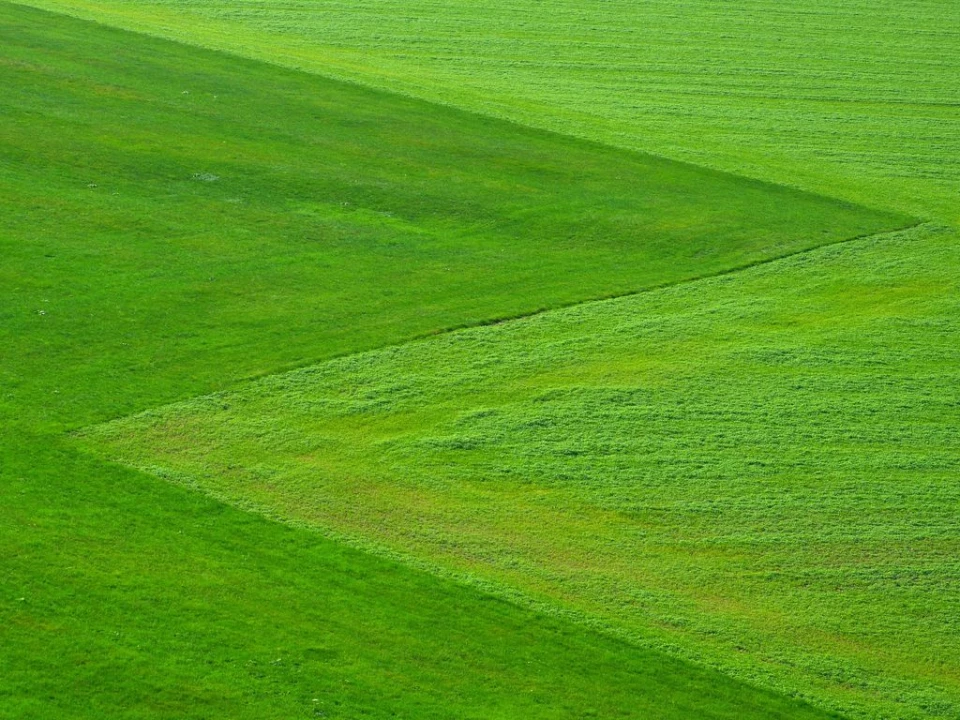 Eladó külterületi telek, Ordacsehi