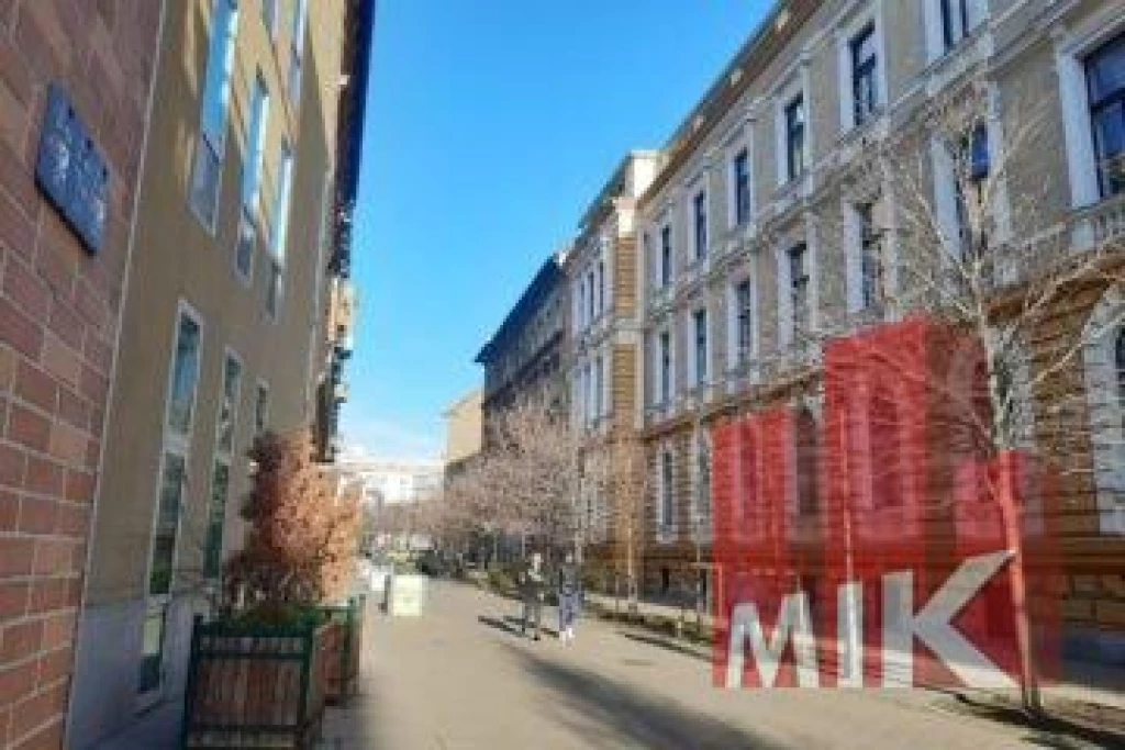 c3-1-name c2-69-name, Budapest VIII. kerület, Csarnok negyed