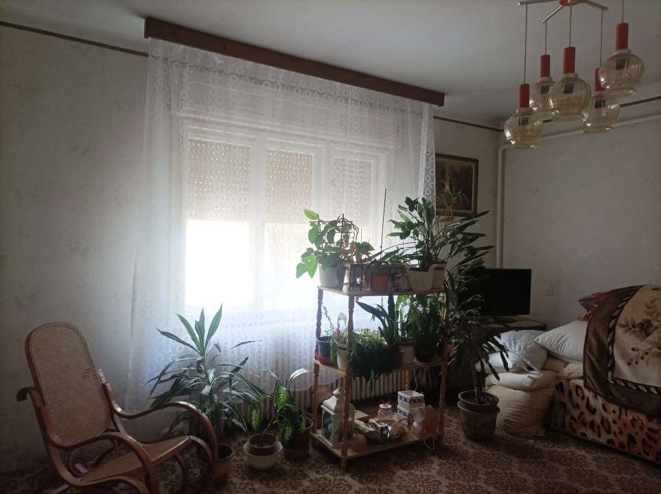 For sale house, Szeged, Cserfa utca