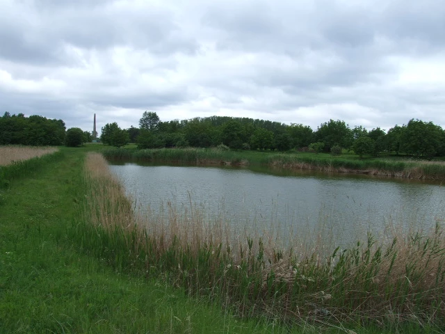 For sale fishpond, Battonya, Város északi részén, Halastó