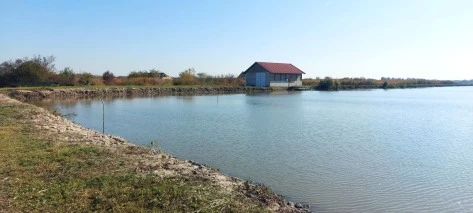 Eladó halastó, Gyula