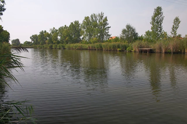 c3-1-name c2-91-name, Gyomaendrőd