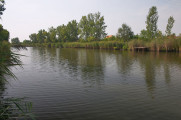 c3-1-name c2-91-name, Gyomaendrőd