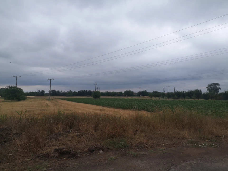 Eladó szántóföld, legelő, Gyula