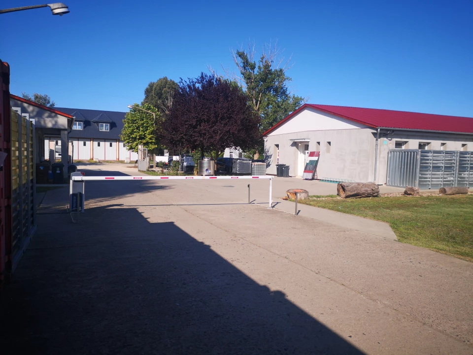 c3-1-name c2-115-name, Orosháza