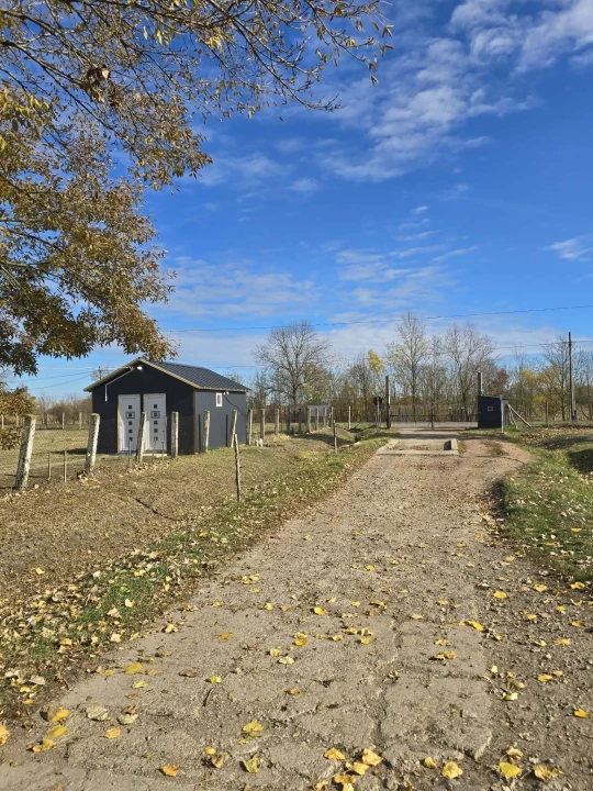 For sale stable, Békés