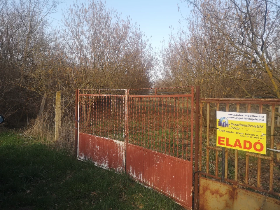 For sale orchard, Gyula, Külsőtörökzugtanya