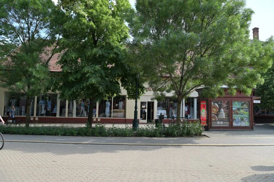 Kiadó üzlet, Gyula
