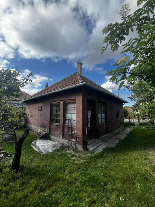 For sale house, Orosháza, szőlő