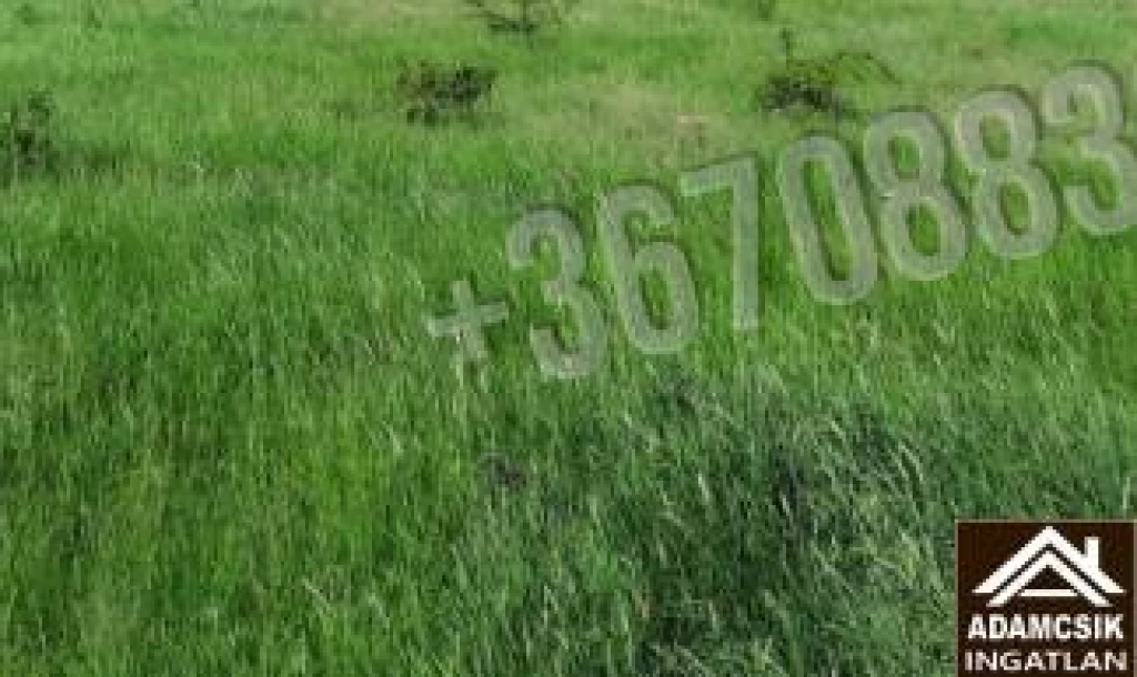 For sale periphery plot, Dabas