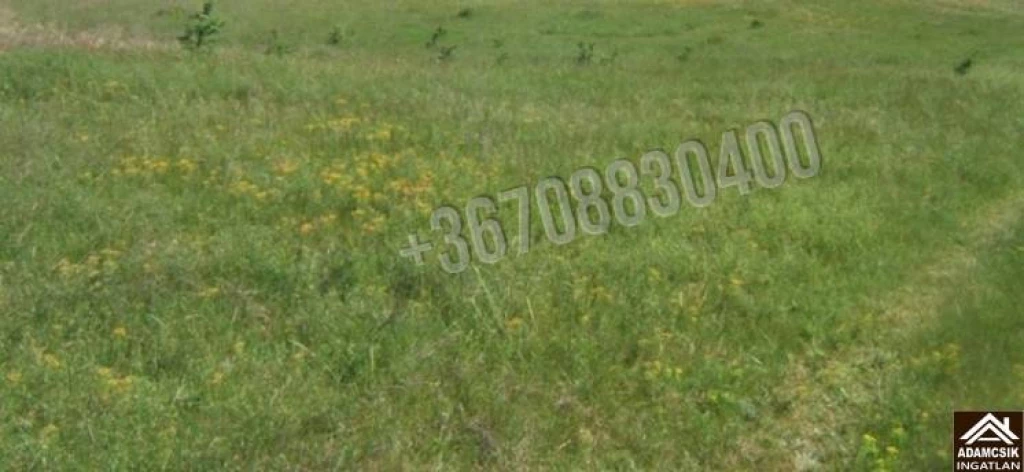 For sale building plot, Dabas