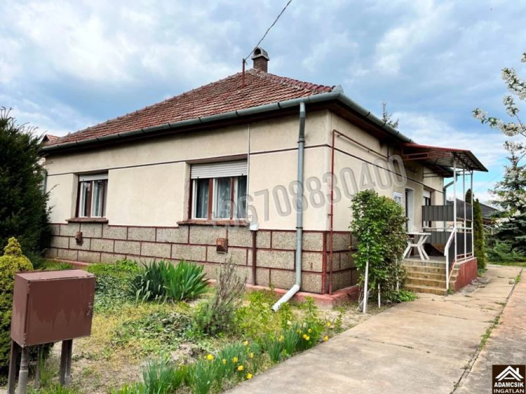 For sale house, Dabas