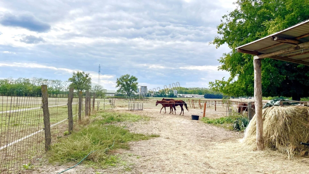 Eladó Gyárépület, Hernád, 80nm, 66900000 Ft