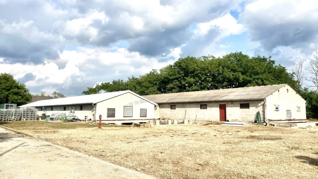 For sale factory building, Dabas, Nincs megadva