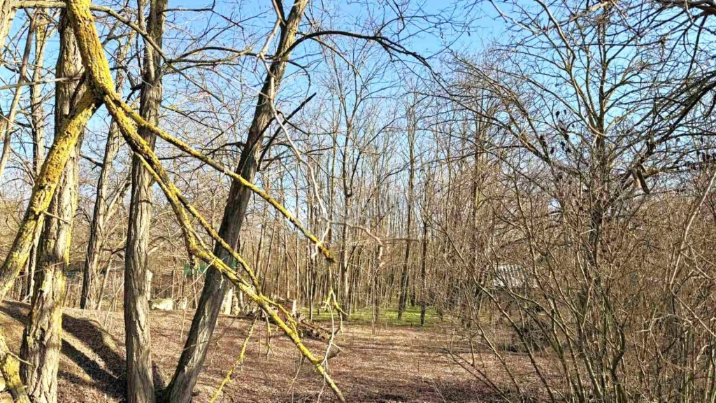 For sale building plot, Dabas, Nincs megadva