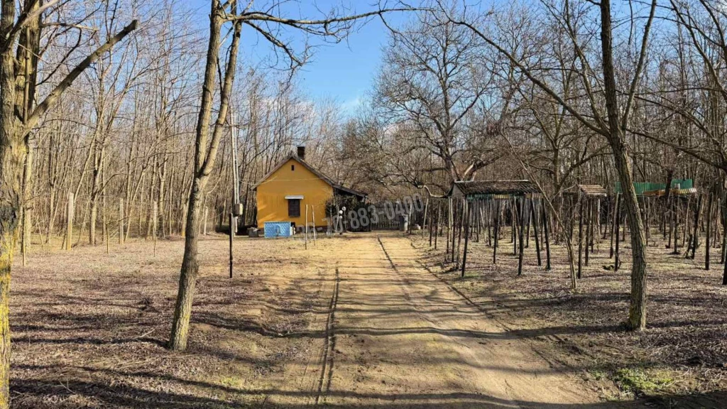 For sale house, Dabas, Nincs megadva