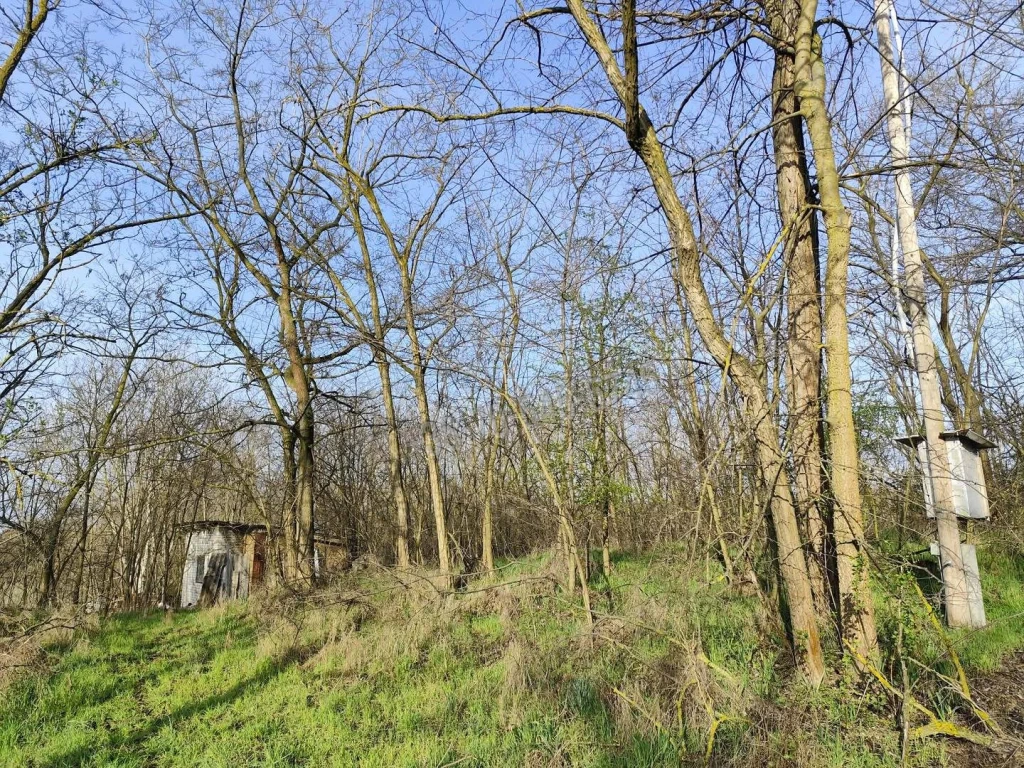 Eladó Építési telek, Inárcs,  Nincs megadva, Fecske utca, 2394nm, 14990000 Ft