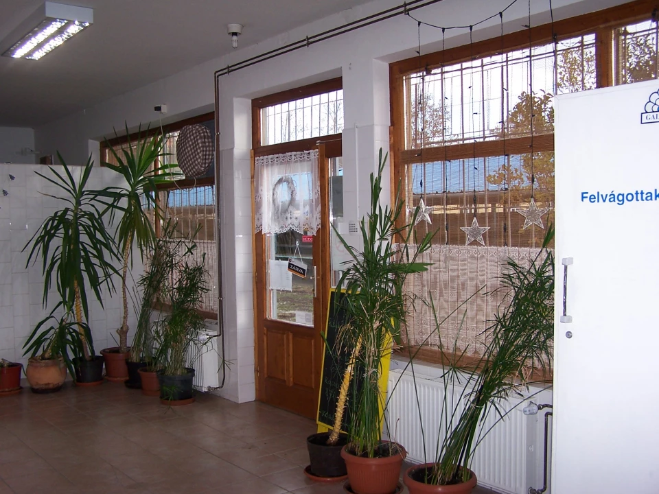 Eladó panellakás, Mezőtúr