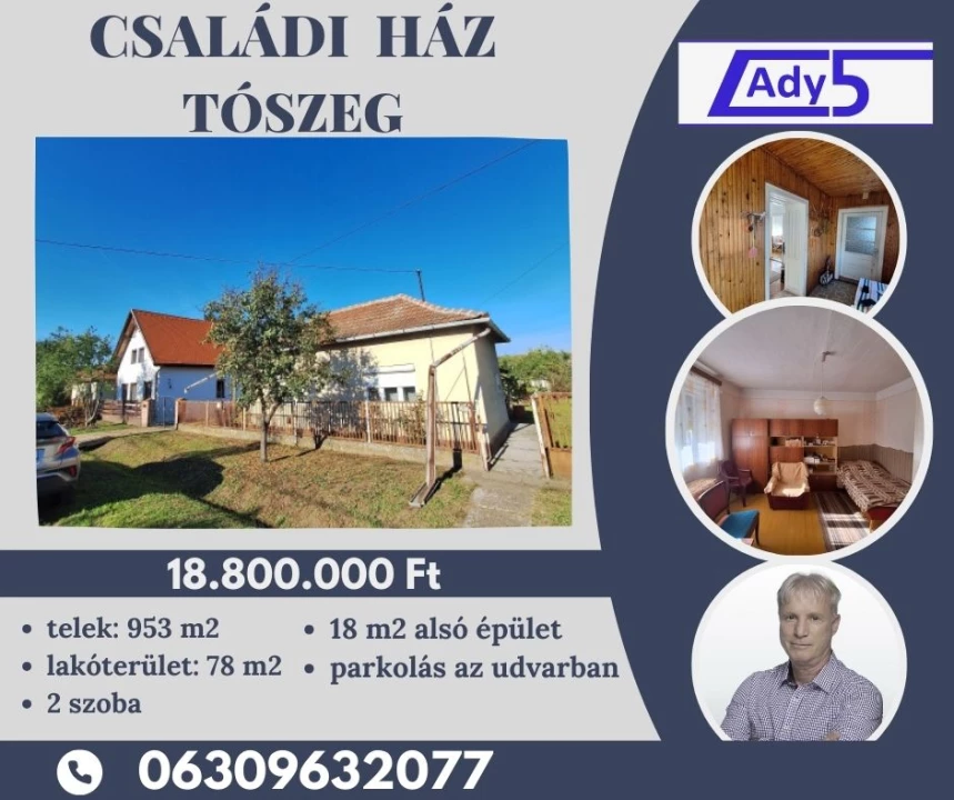 For sale house, Tószeg