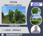 Eladó külterületi telek, Besenyszög