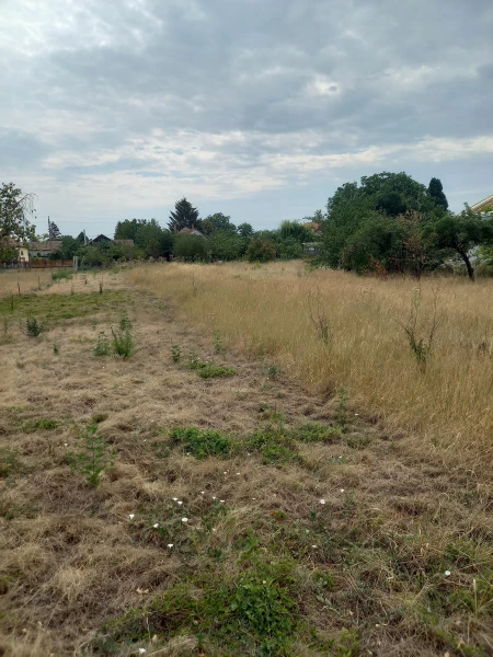 Eladó építési telek, Szolnok