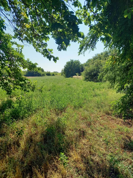 Eladó építési telek, Tiszaföldvár