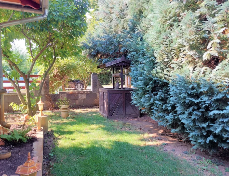 c3-1-name c2-63-name, Szolnok