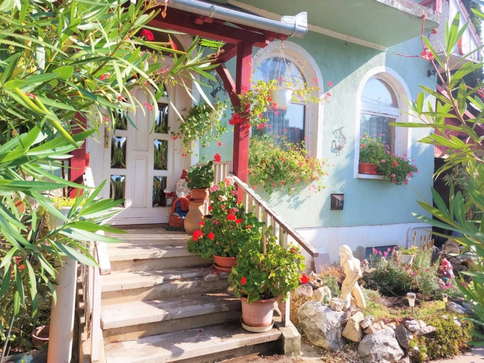 c3-1-name c2-63-name, Szolnok