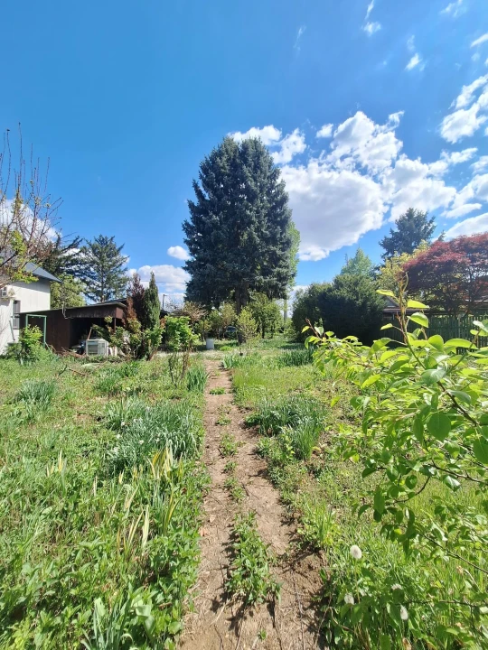 c3-1-name c2-50-name, Szolnok