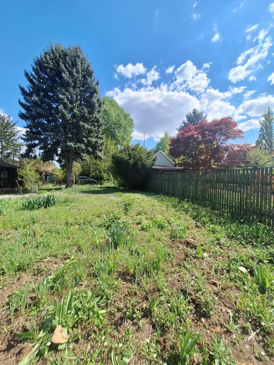 c3-1-name c2-50-name, Szolnok