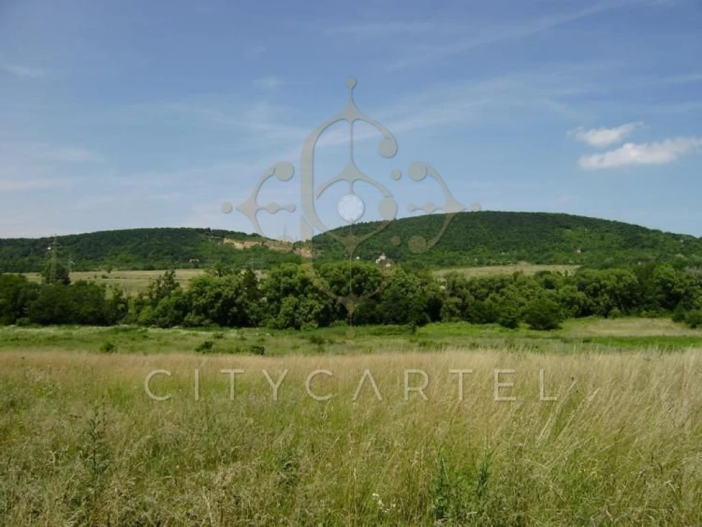 Budakeszi határában, mezőgazdasági területek eladók!