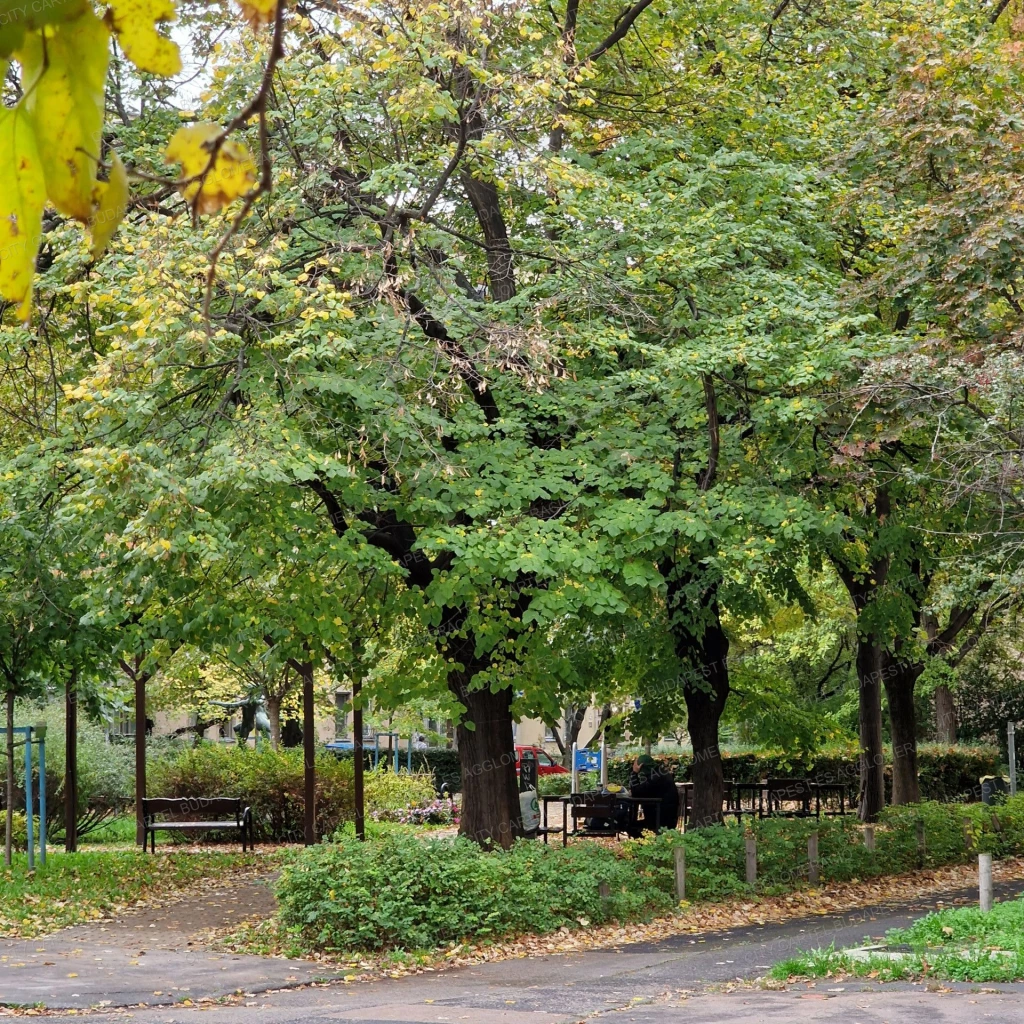 Eladó üzlet, Budapest XI. kerület, Lágymányosi lakótelep