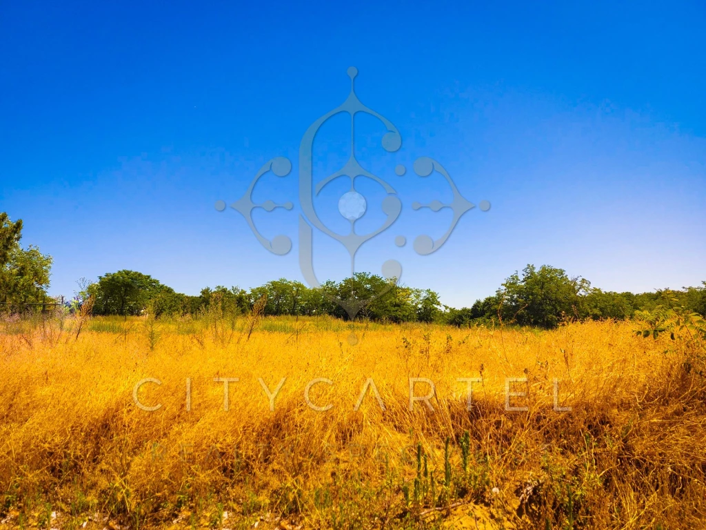 AKCIÓ! Beépítetlen terület eladó Dunaegyházán!