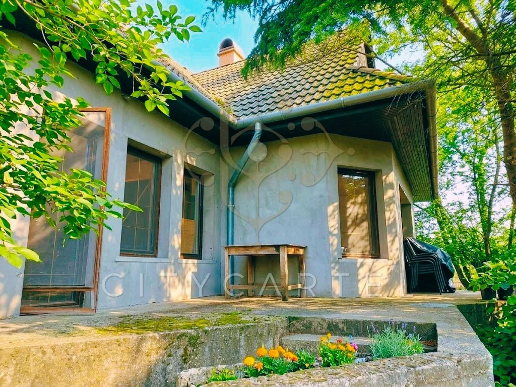 Különleges ház várja új gazdáját Szalkszentmártonban!