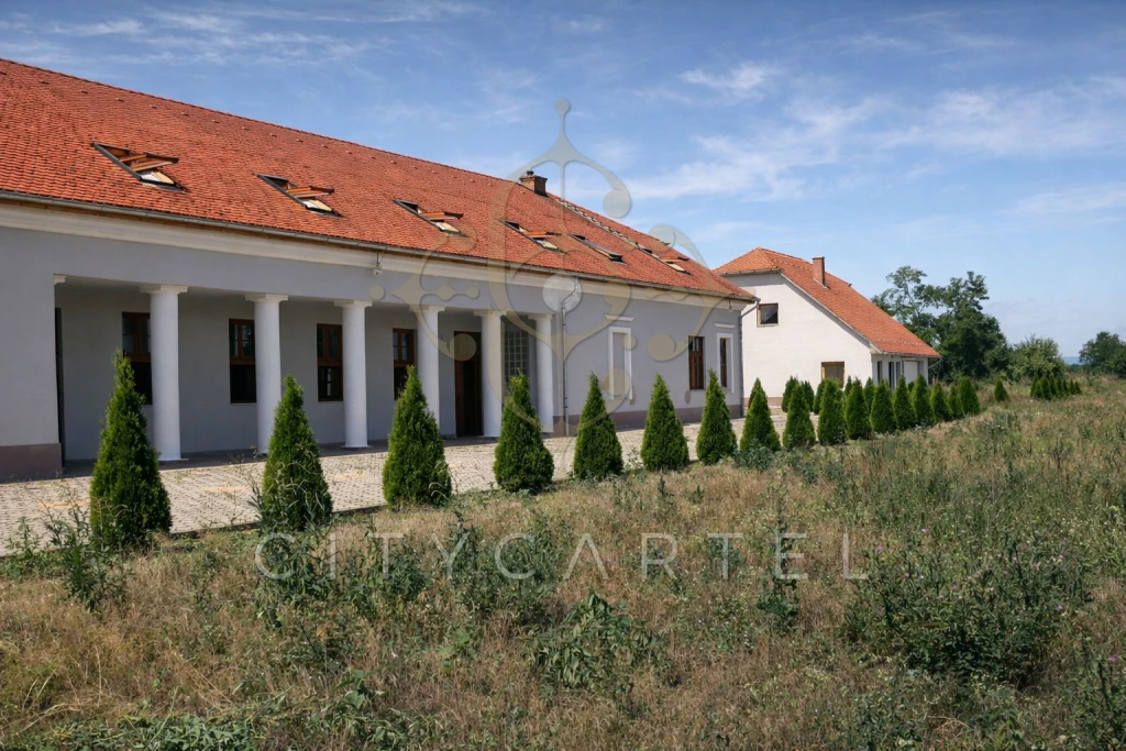 Eladó kúria, Érsekvadkert
