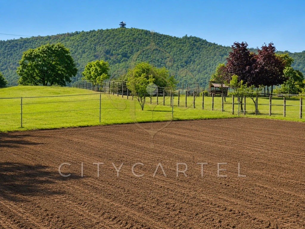 Csodaszép panoráma, az Apátság szomszédságában!